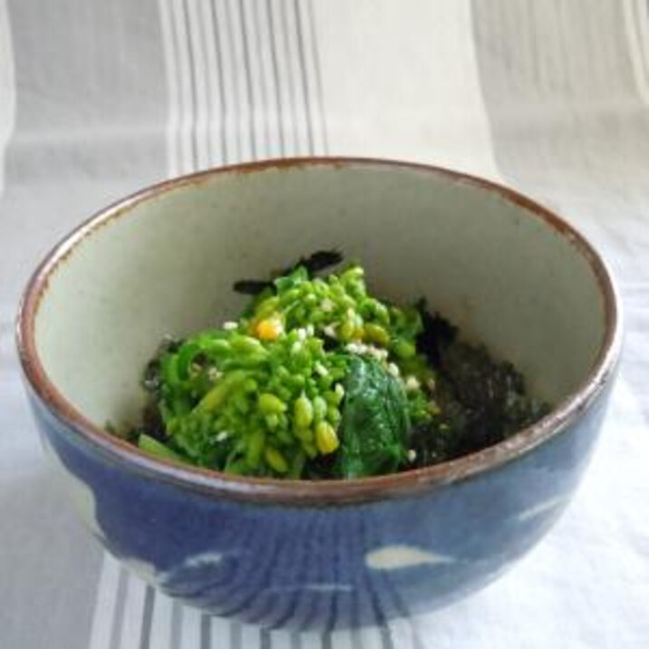 簡単 菜の花でわさびと海苔のおひたし